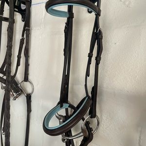 Cob Size Brown and Blue Horse Bridle